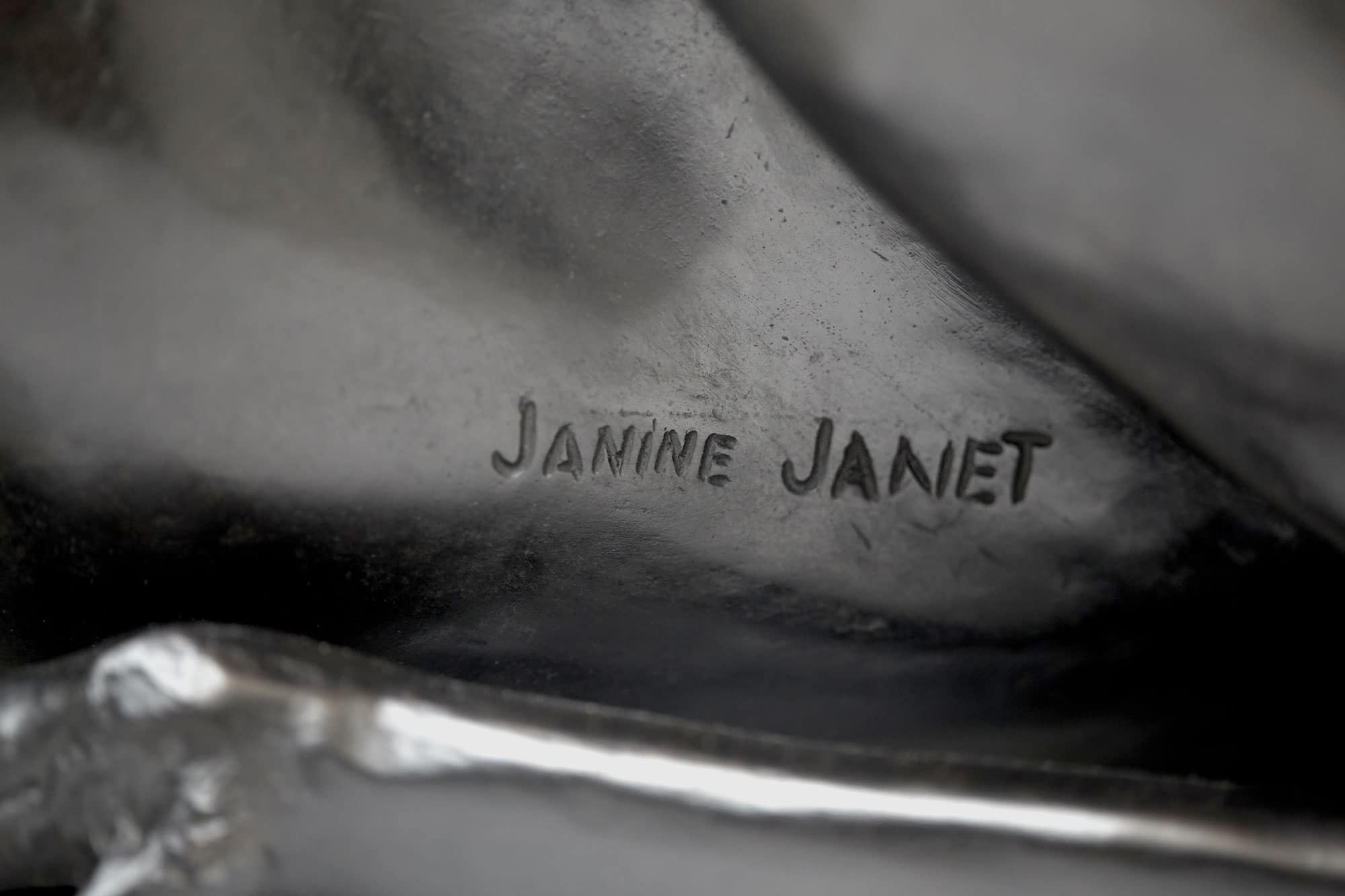 Janine Janet, “Cerf Couché”, vue 01