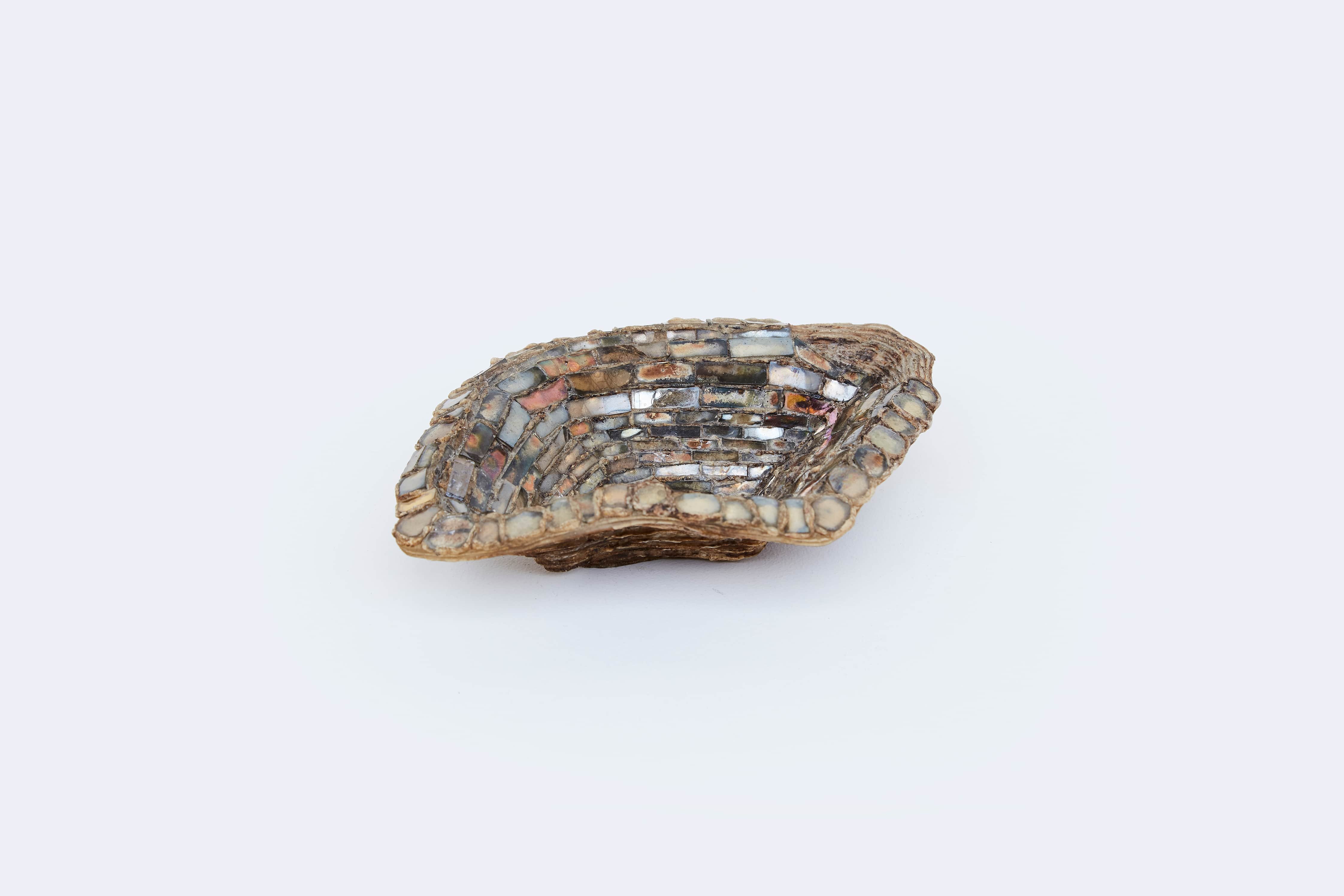 Line Vautrin, Oyster-shaped bowl, vue 01