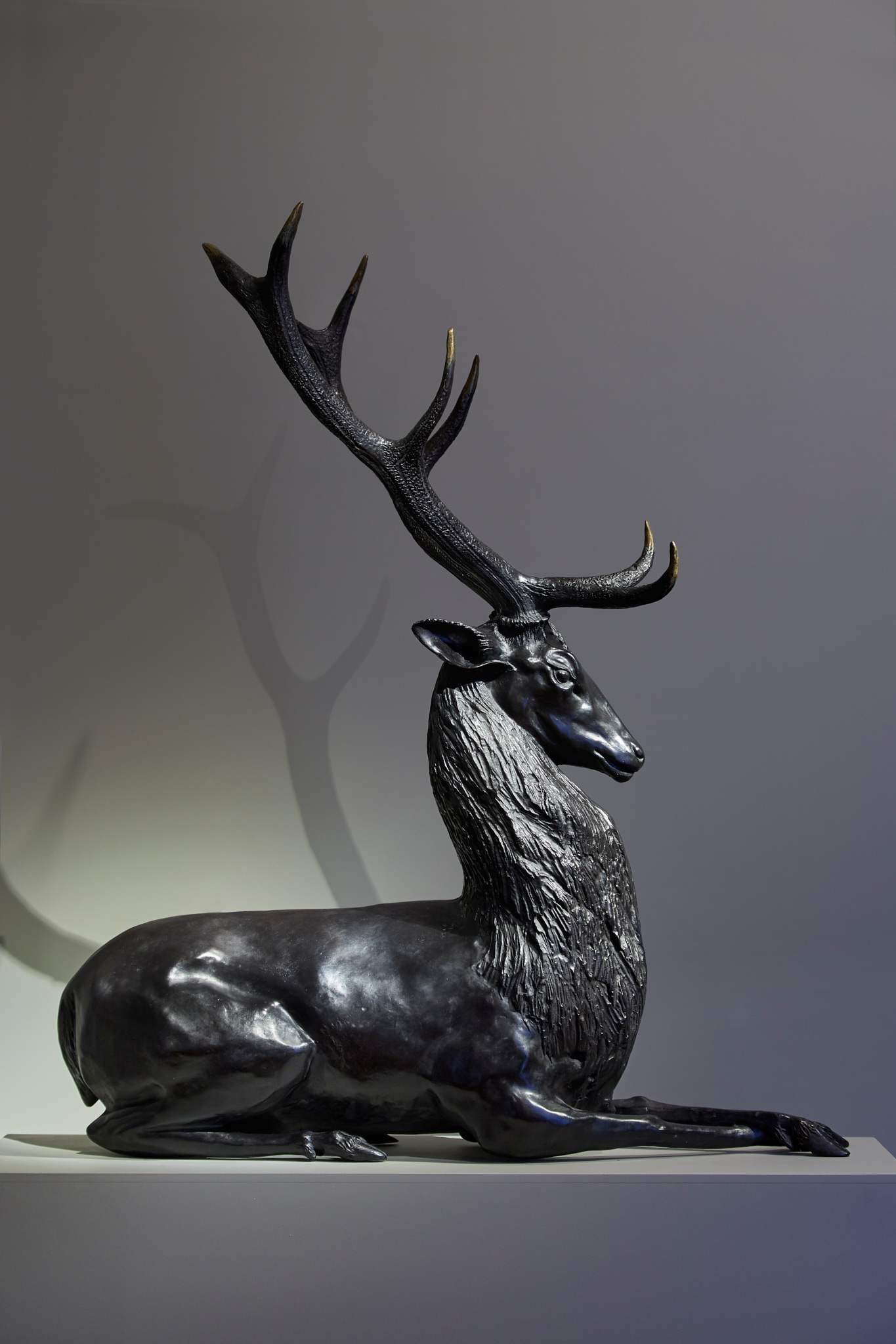 Janine Janet, “Cerf Couché” (Lying Deer), vue 01