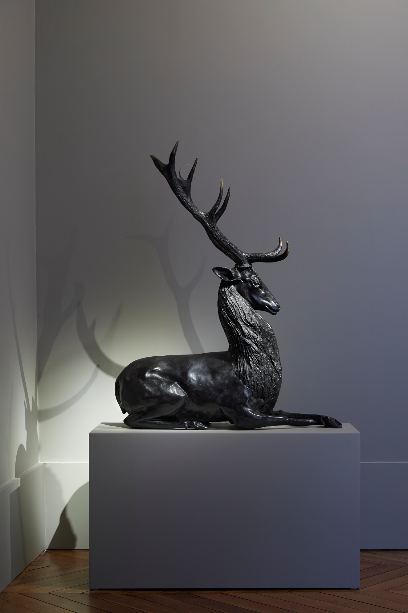 Janine Janet, “Cerf Couché” (Lying Deer), vue 01