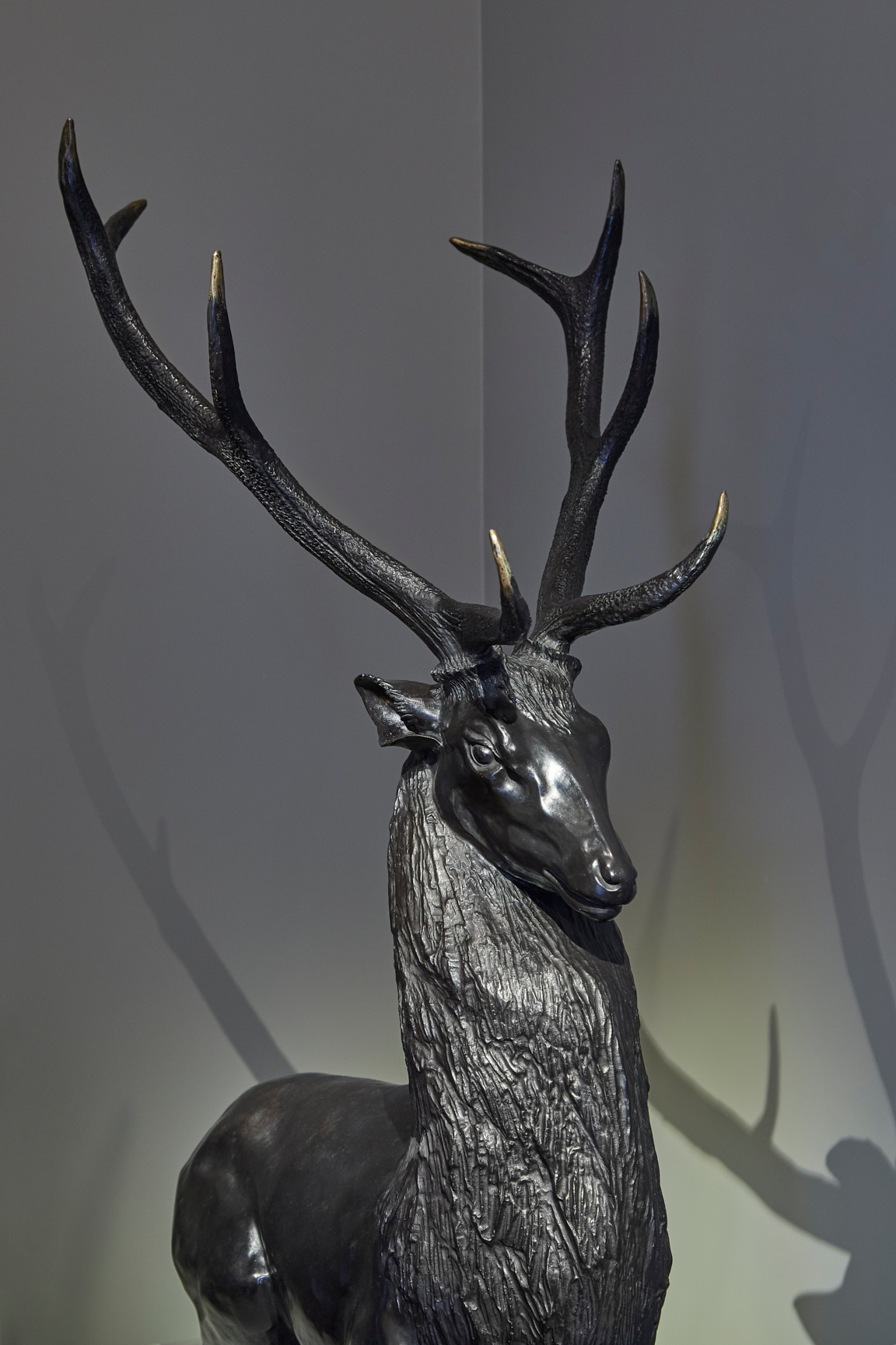 Janine Janet, “Cerf Couché” (Lying Deer), vue 01