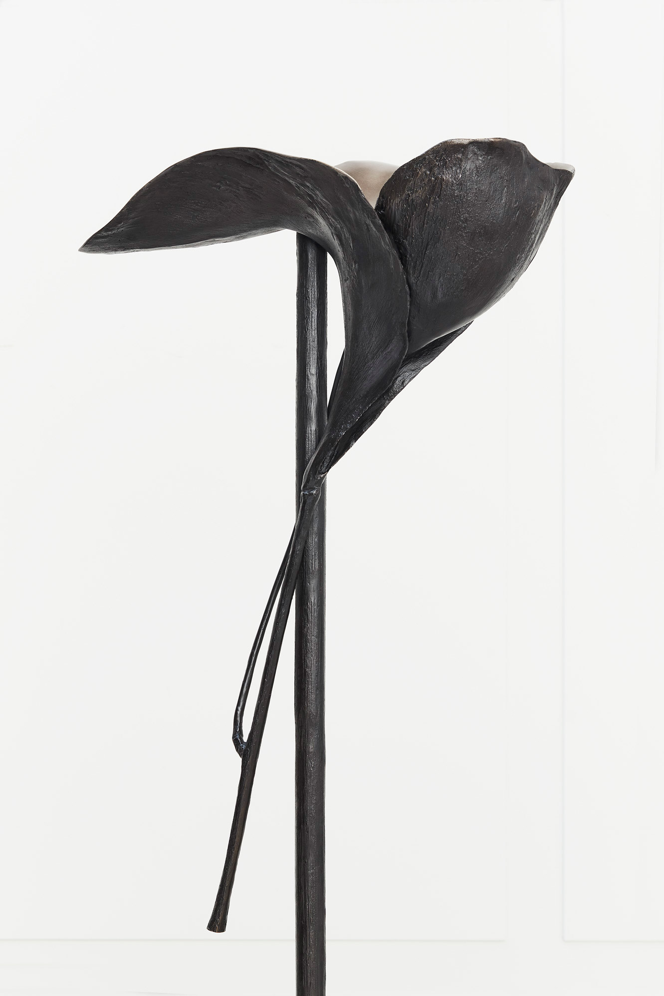 Bahman Dadkhah, « Fleur lumineuse », vue 01