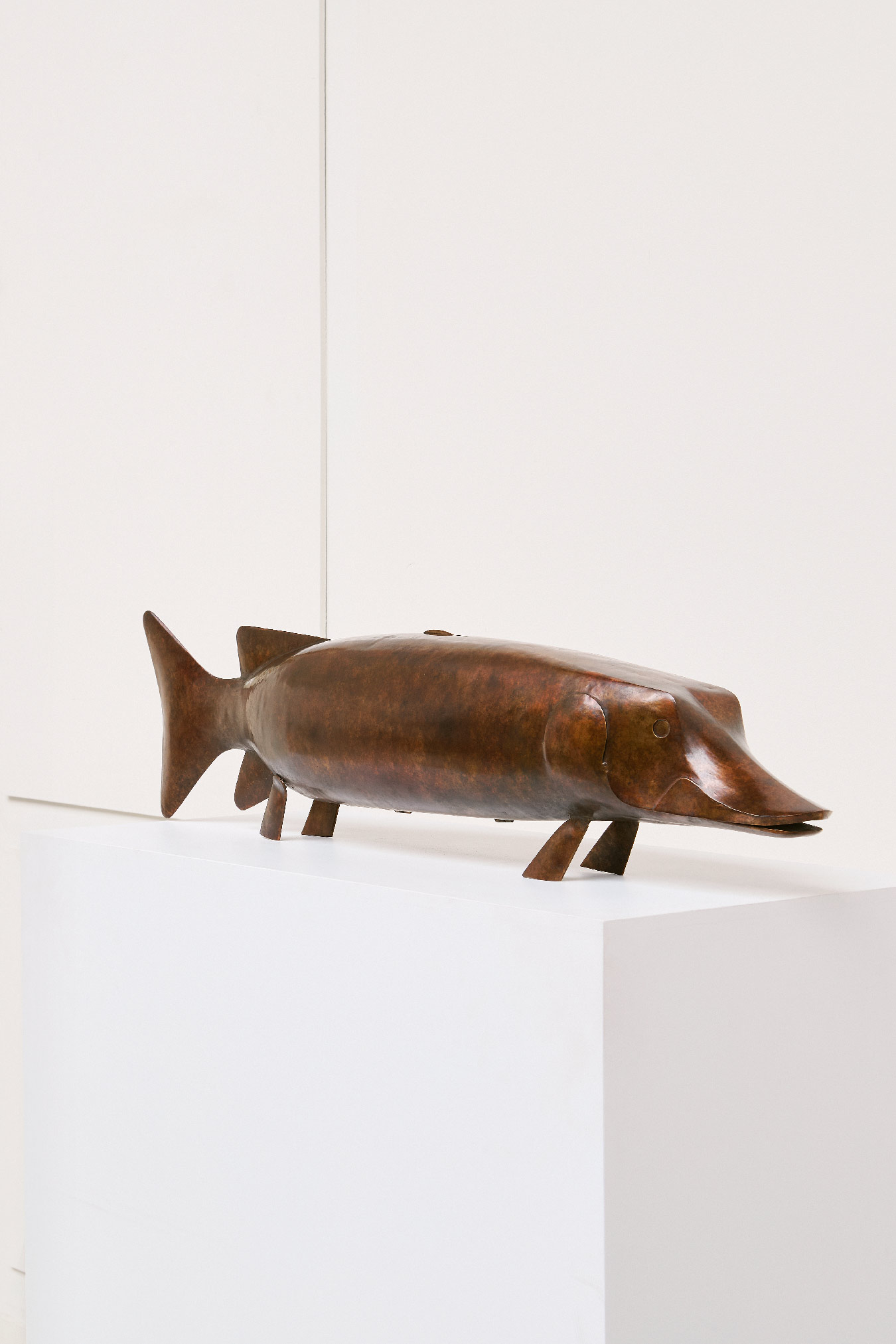 François-Xavier Lalanne, « Brochet », vue 01