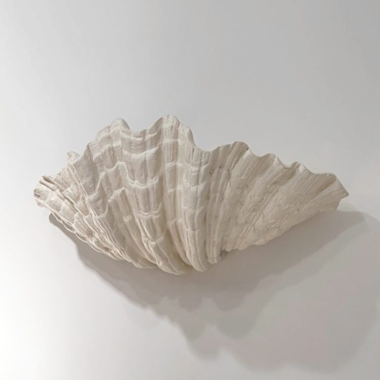 Serge Roche, pair of clams sconces