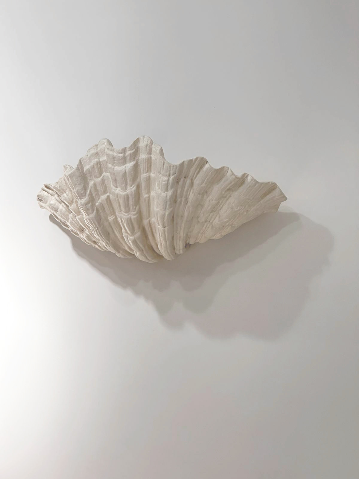 Serge Roche, paire d’appliques bénitier, vue 01