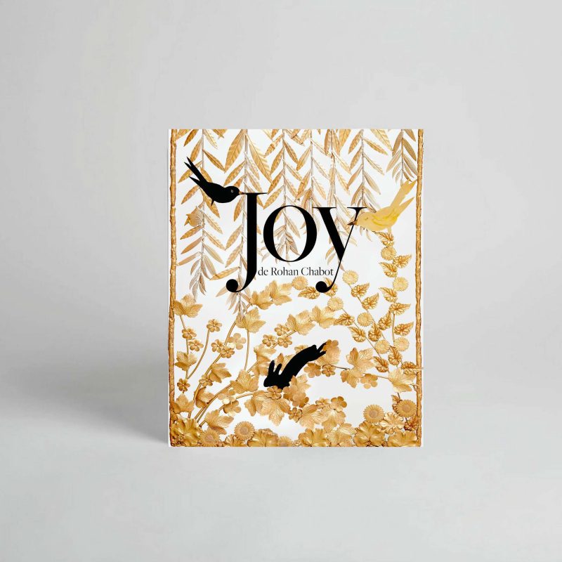 Joy de Rohan Chabot, de la réalité au rêve